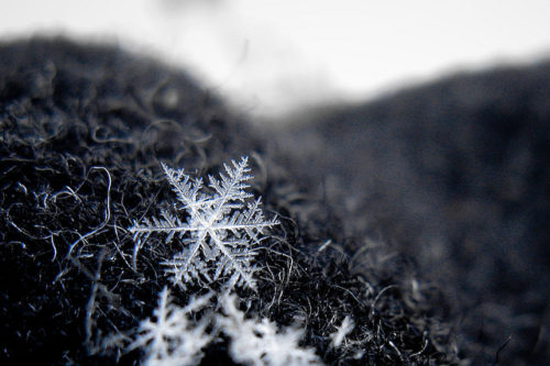 Fiocco-neve